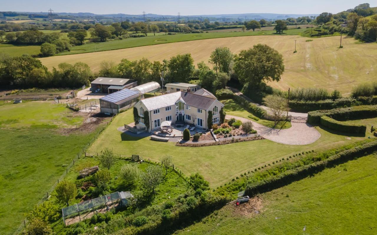 Copse Gate Farm Bed and Breakfast Bridport Εξωτερικό φωτογραφία